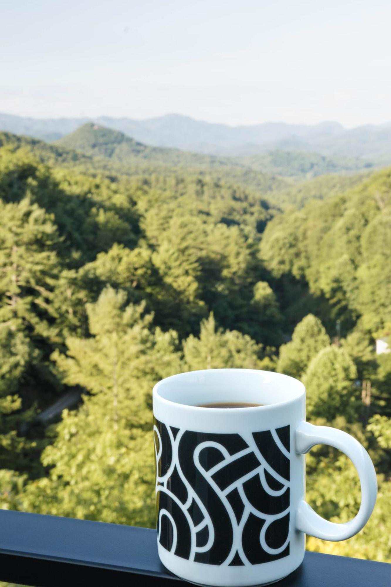 Long View Resort Bryson City, Nc Extérieur photo